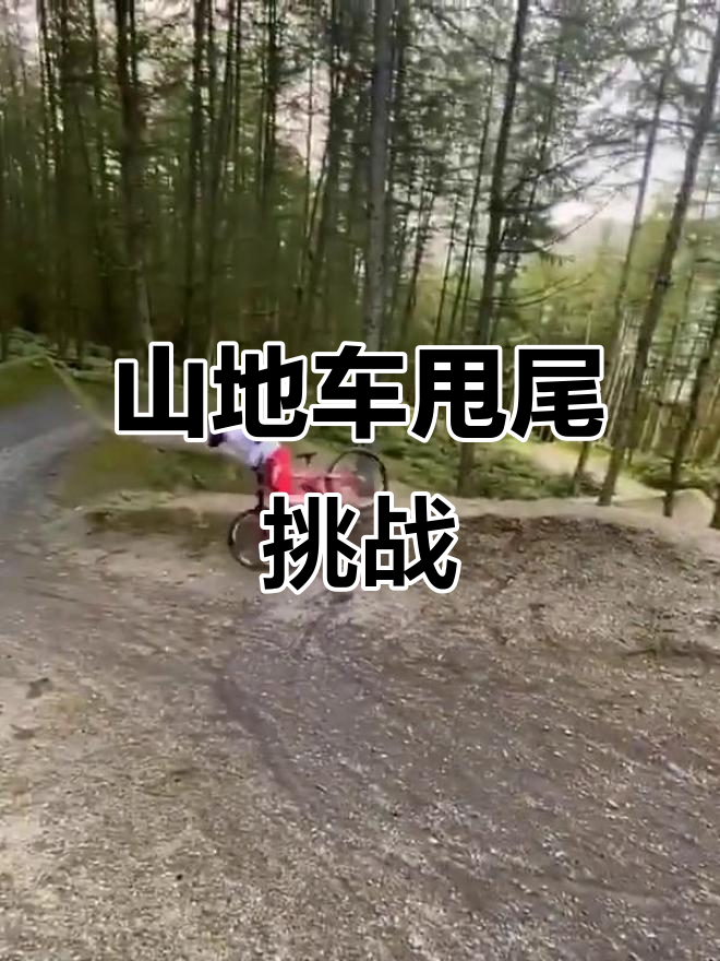 极限速降冲刺赛，极速穿越自然障碍的简单介绍