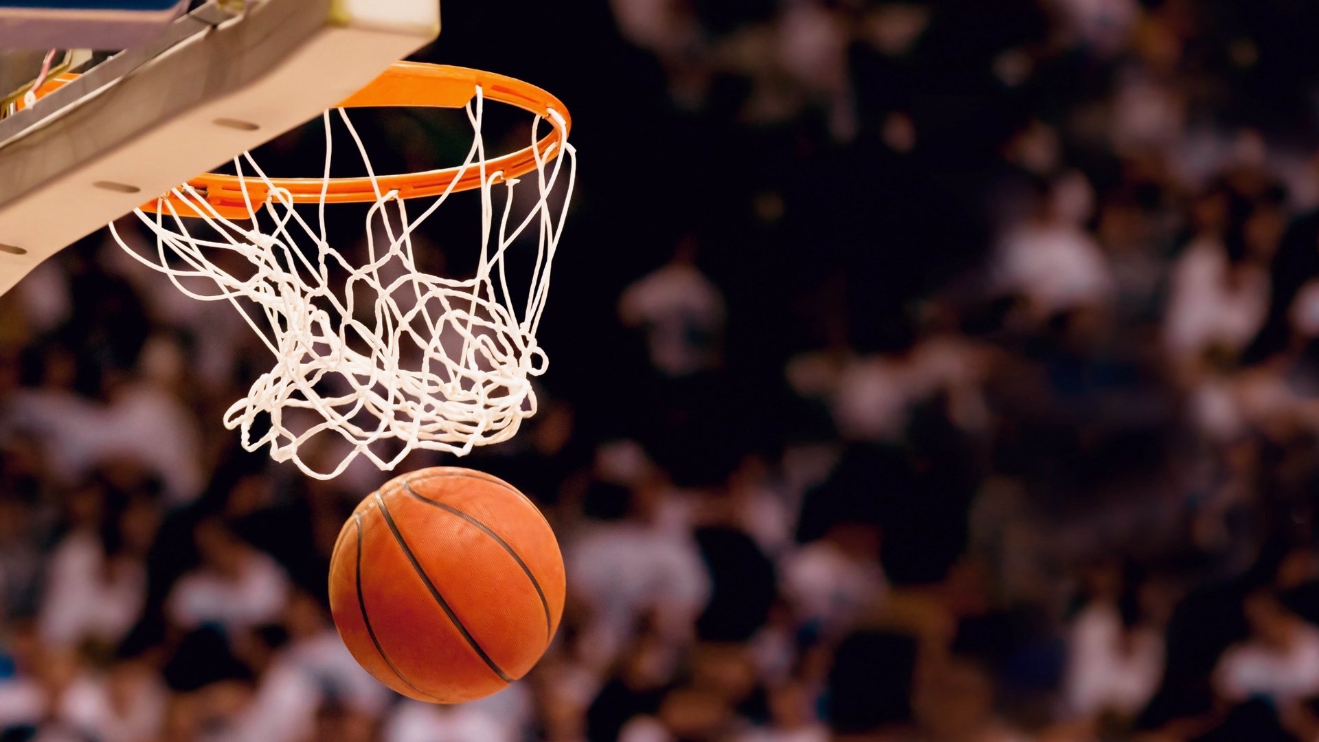 NBA赛季盖帽效率数据解析，nba赛季盖帽纪录